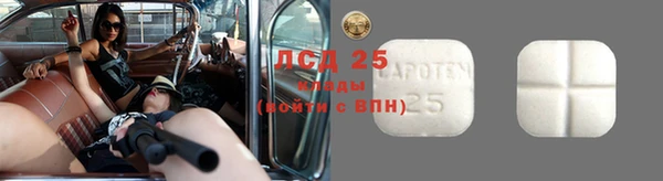 эйфоретик Алексин