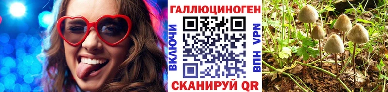 Псилоцибиновые грибы Magic Shrooms  маркетплейс официальный сайт  Бийск  даркнет сайт 