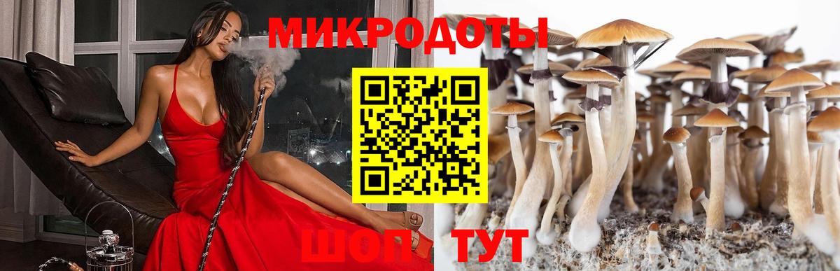 Галлюциногенные грибы мухоморы  Вход с VPN  Бийск  Галлюциногенные грибы мухоморы 